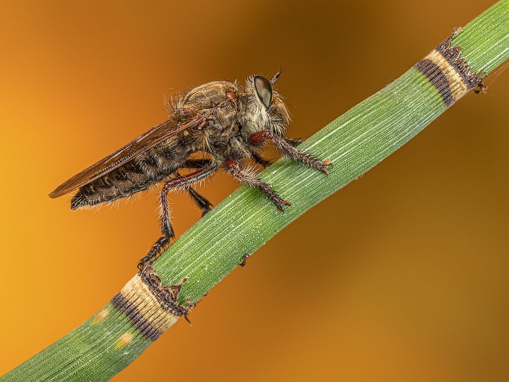 Photograph by Eduardo Di Fiore