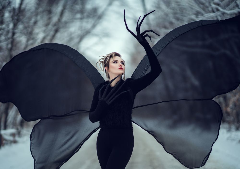 Фотография автора Диана Липкина