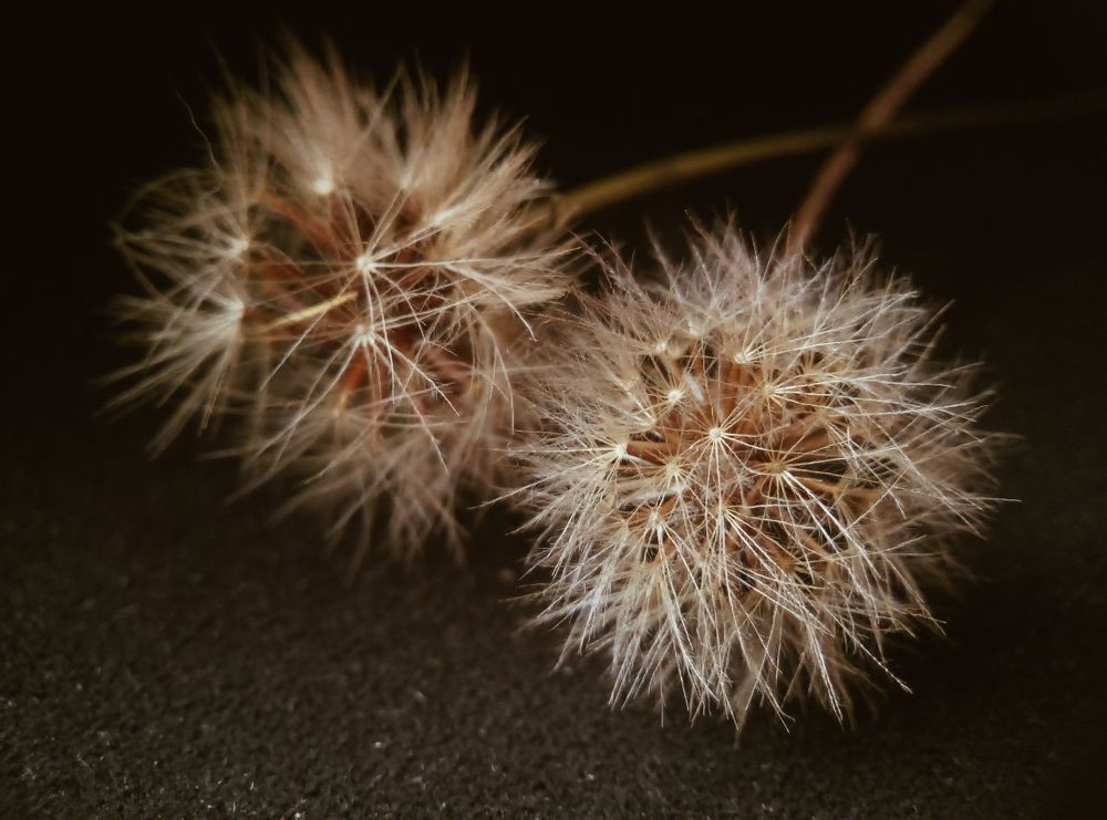 Photograph by Диана Кошелева