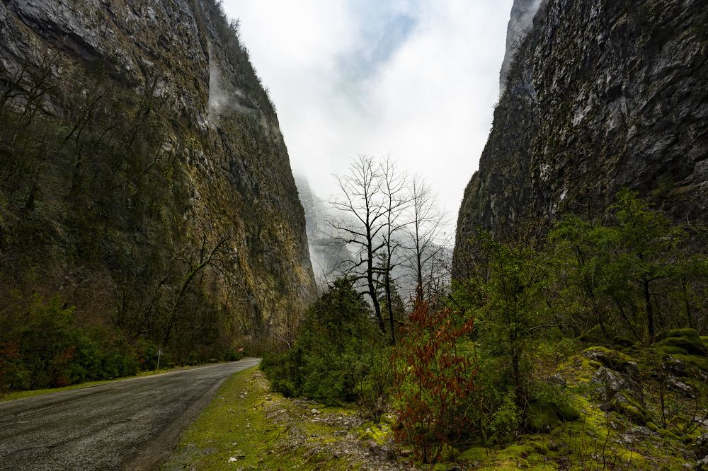 Photograph by Ирина Миловидова