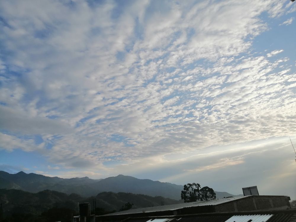 Photograph by Alba Bibiana García Prada