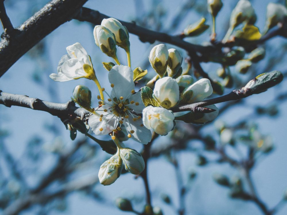 Photograph by Aлександра Зрелова
