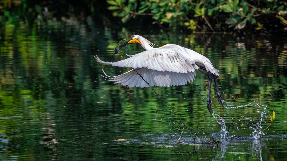 Photograph by DHANASEKAR R