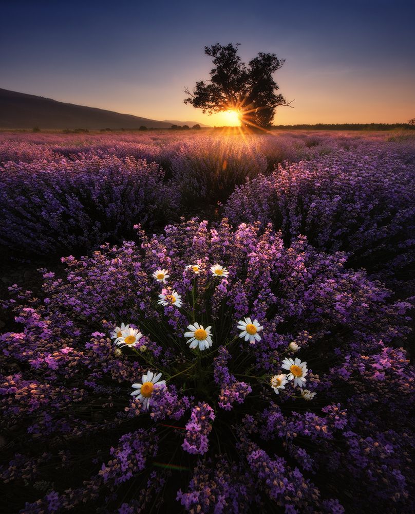 Photograph by Красимир Матаров