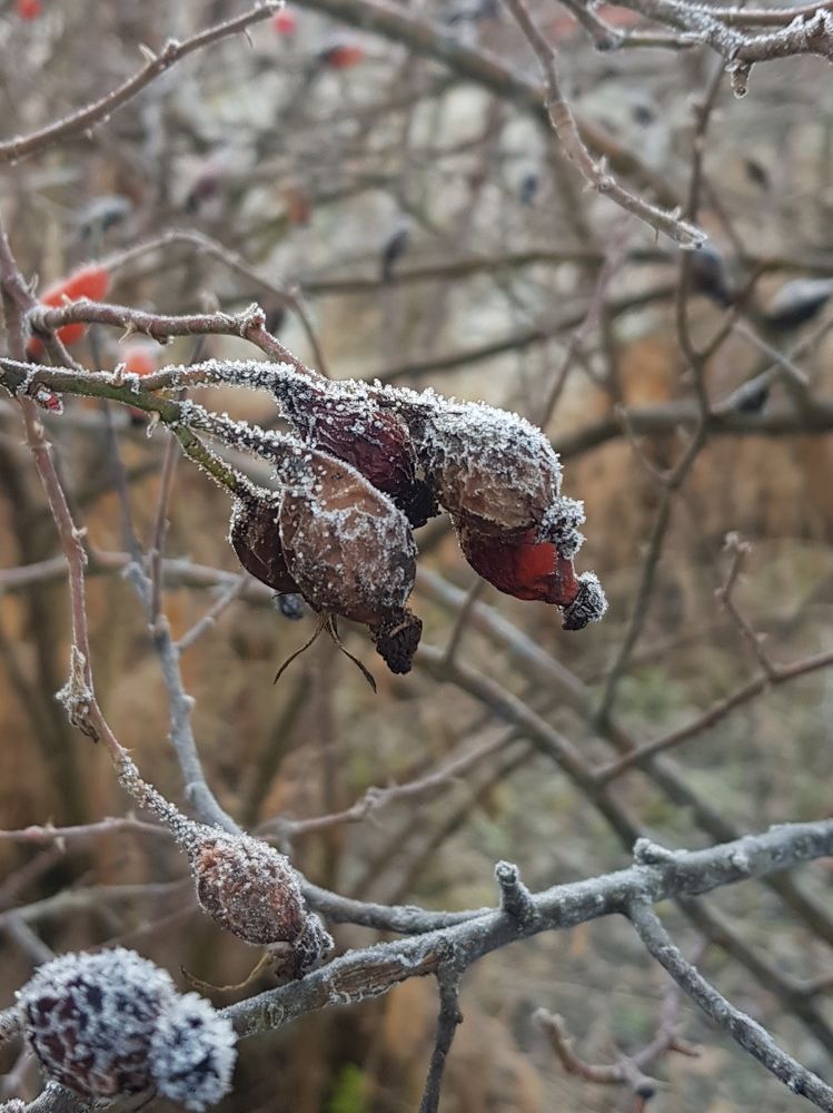 Photograph by Оксана Осенняя