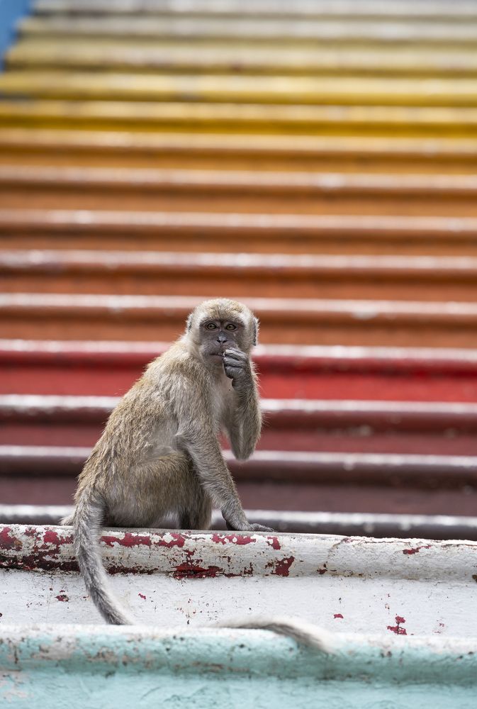 Batu caves