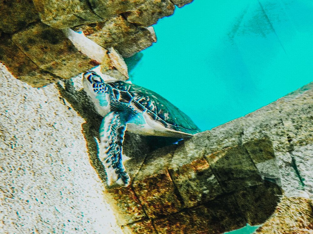 Photograph by Aлександра Зрелова