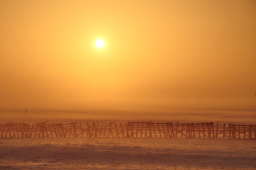 Photograph by Владимир Малевич