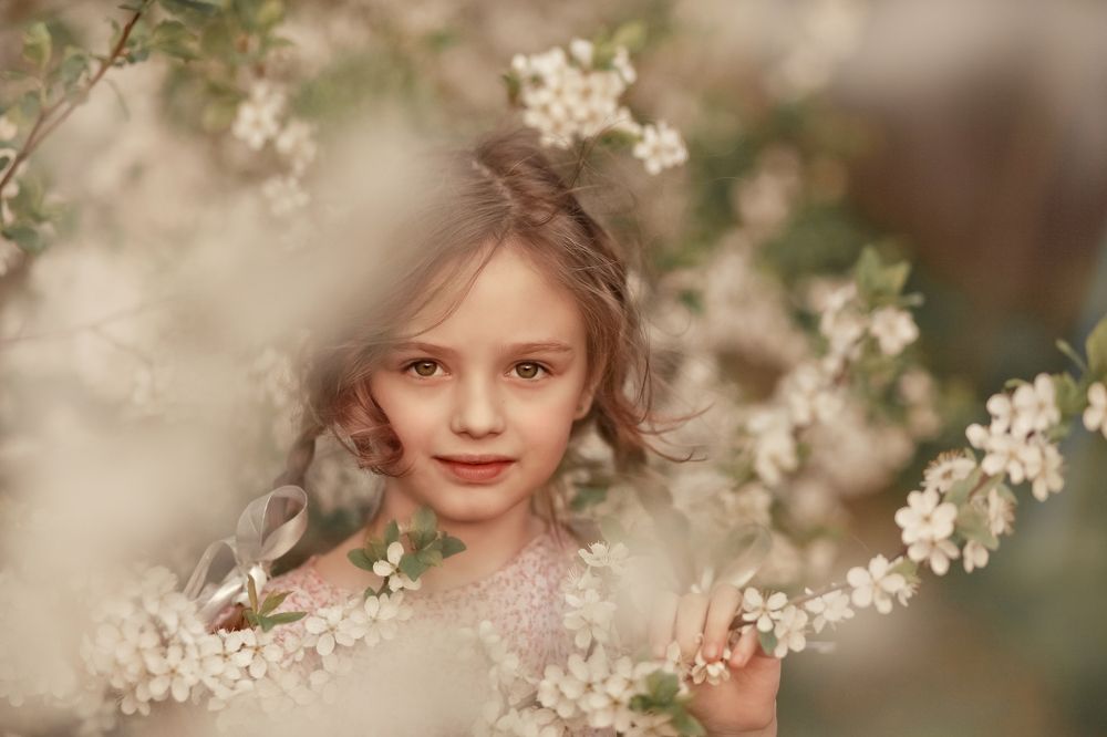 В вишнёвом цвете.