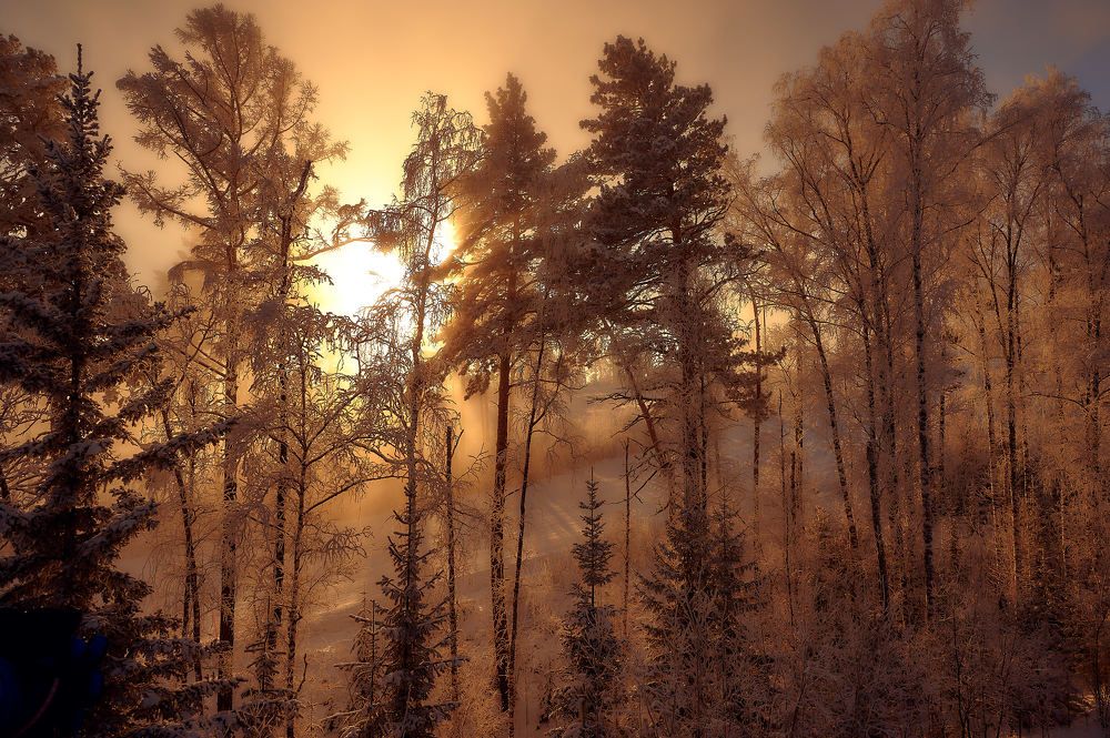 Photograph by Владимир Малевич