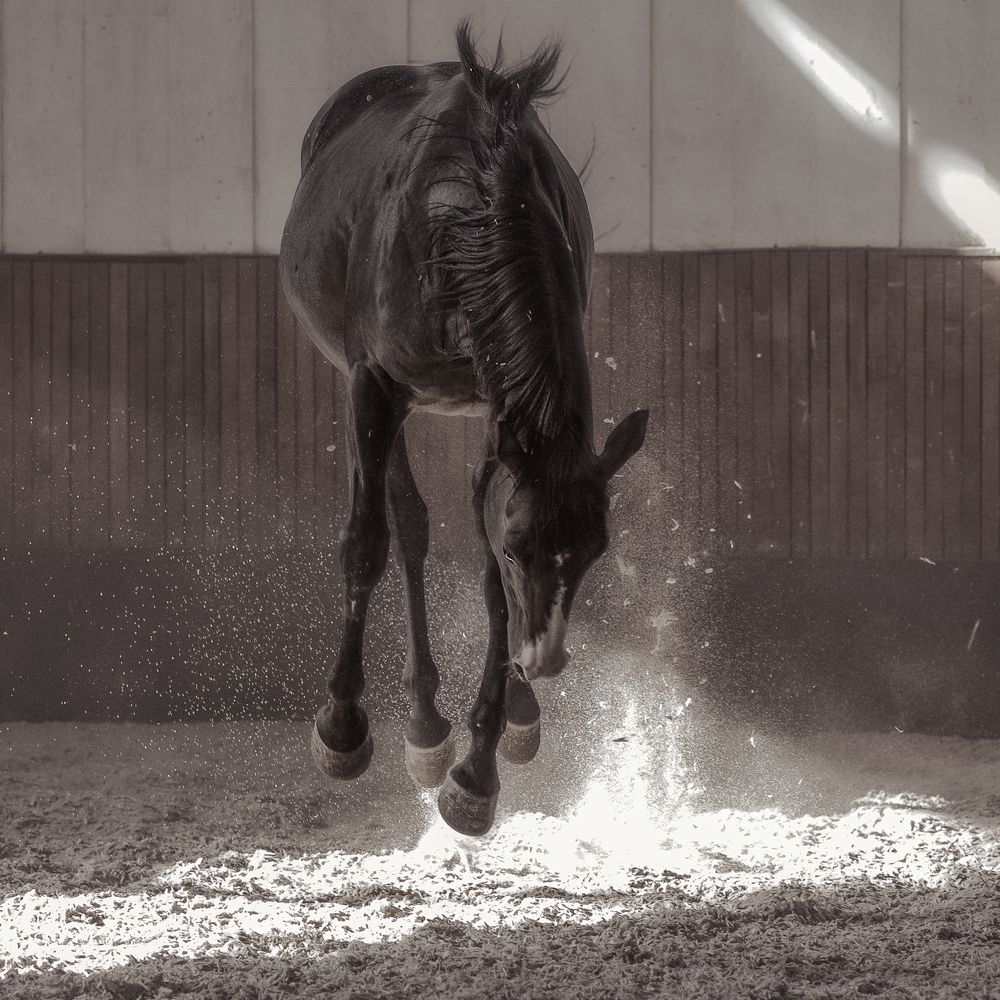 Photograph by Дмитрий Лоскутов