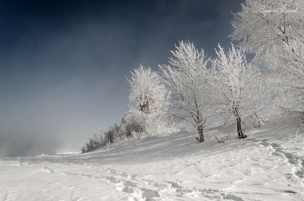Photograph by Вадим Басов