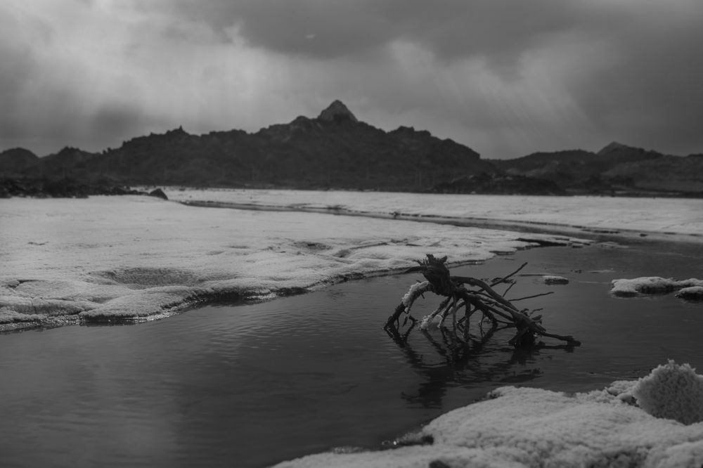 Photograph by Parsa Torabi