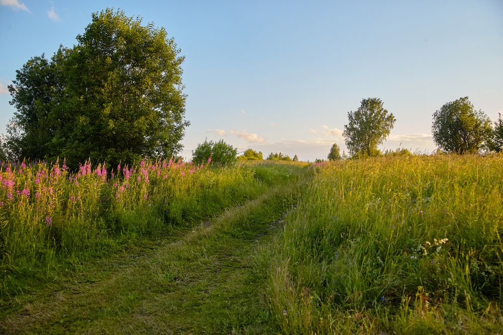 Photograph by Максим Иванов