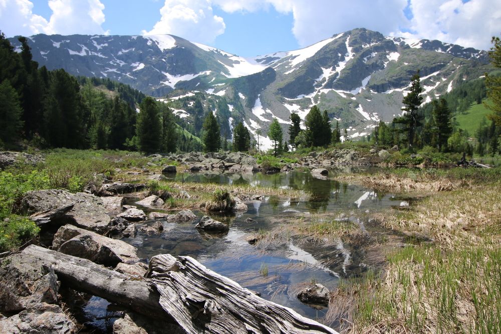 Photograph by Vasiliy