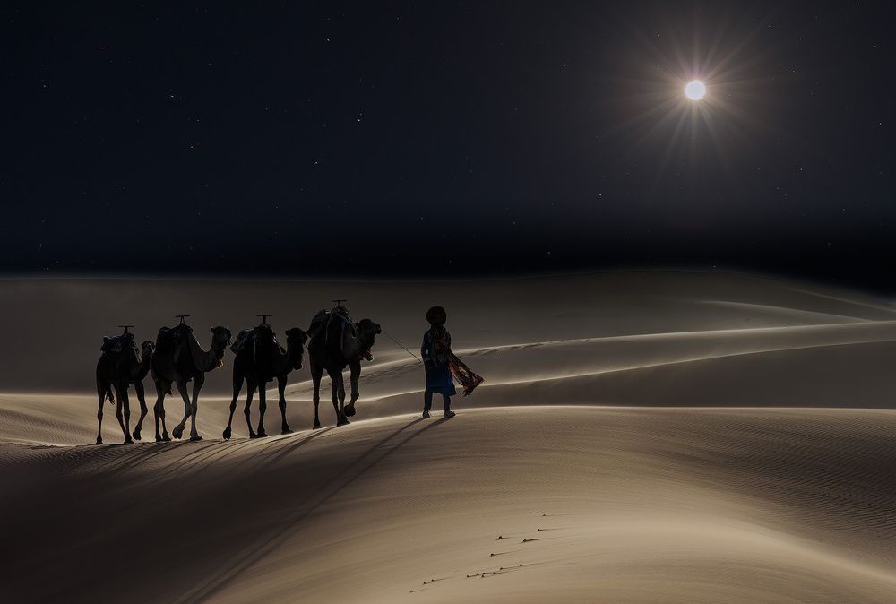 Ночной караван