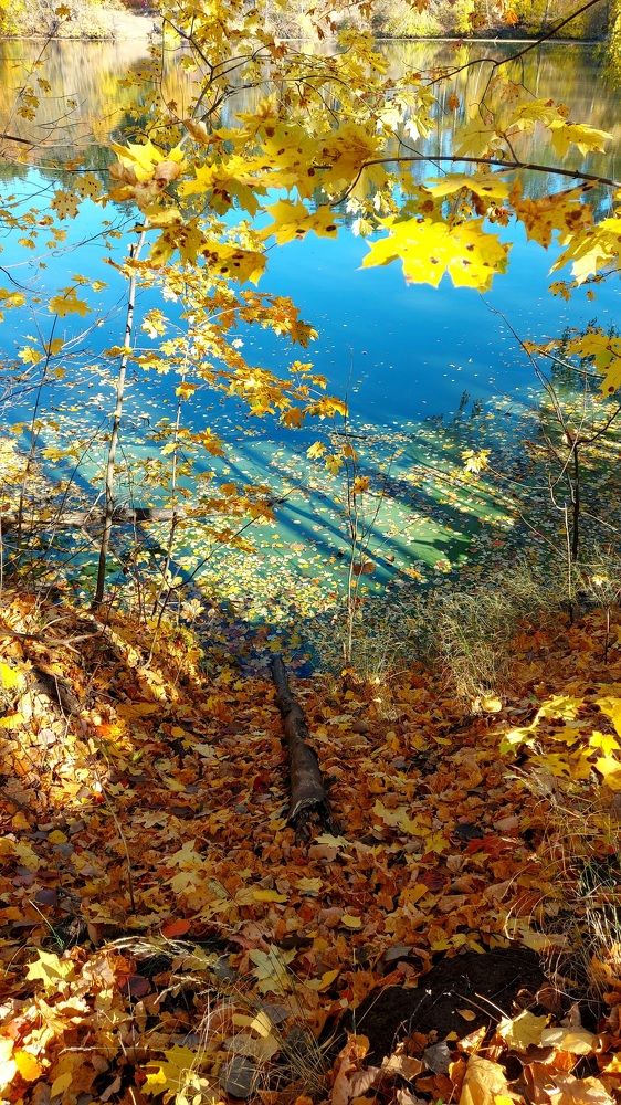 Photograph by Лилия Гринько