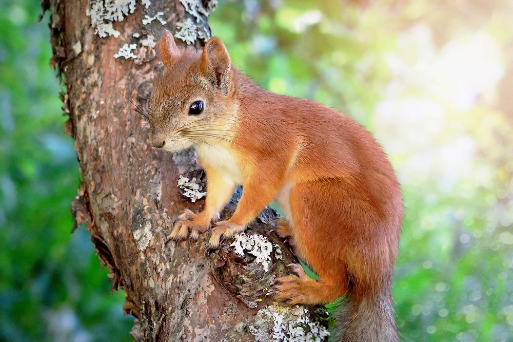 Photograph by Константин Юрченко