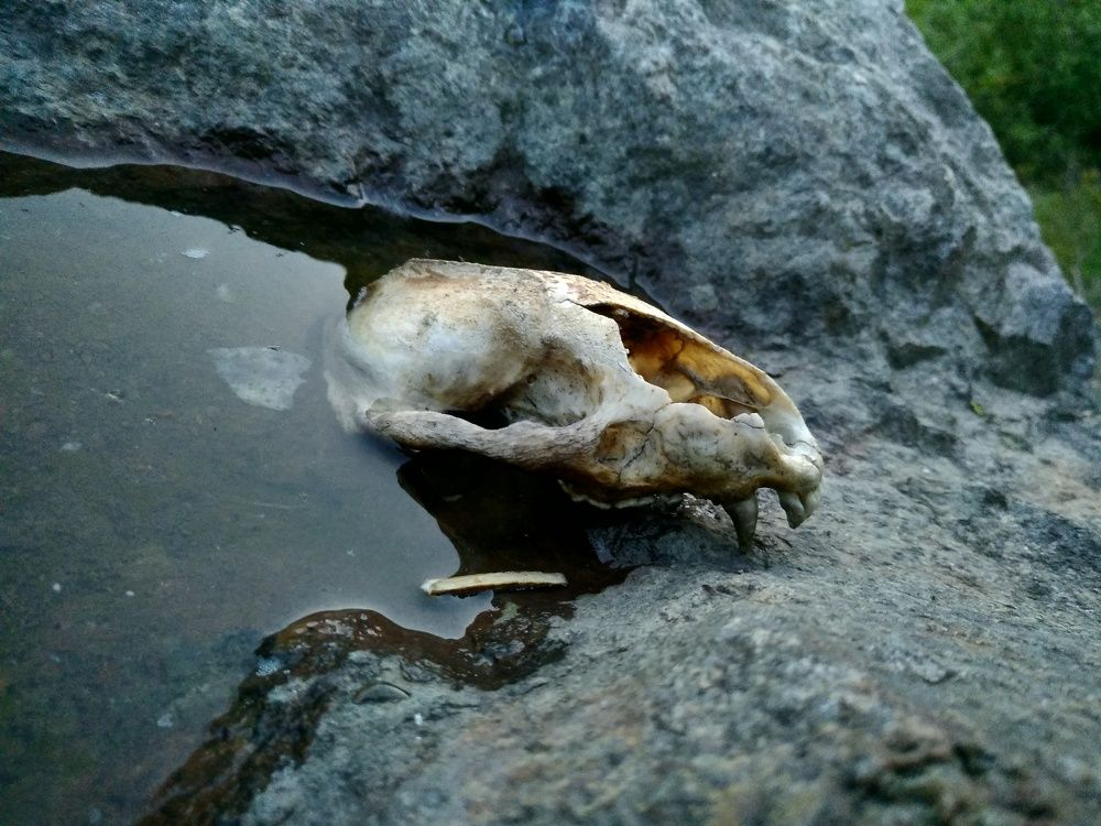 Photograph by Юрий Карач