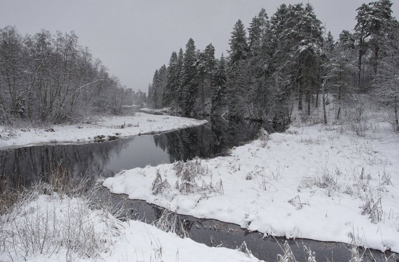 Photo #5872841