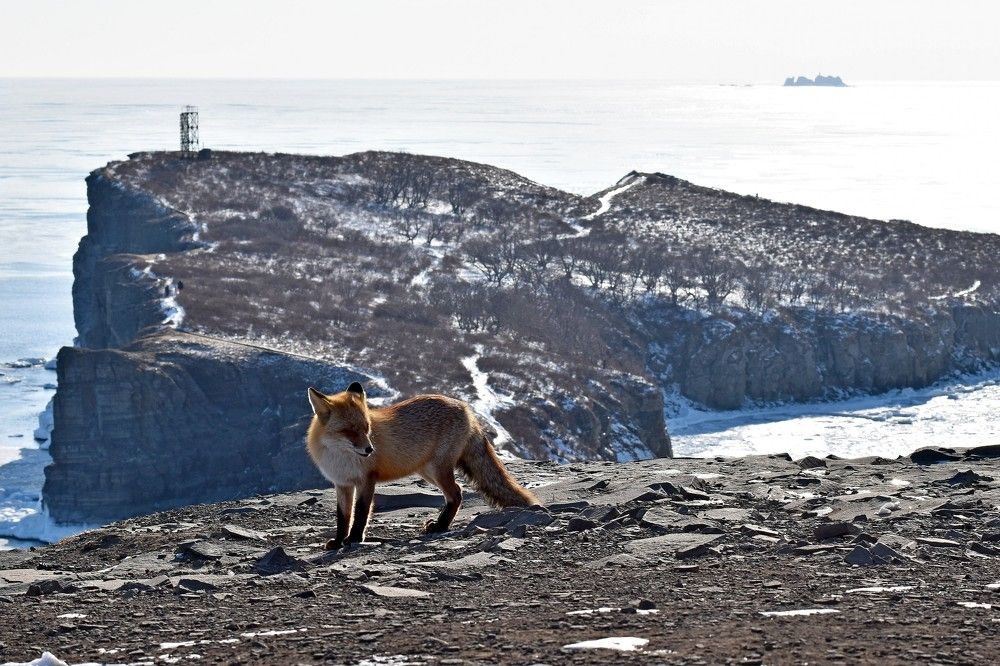 Photograph by Александр Рыжук