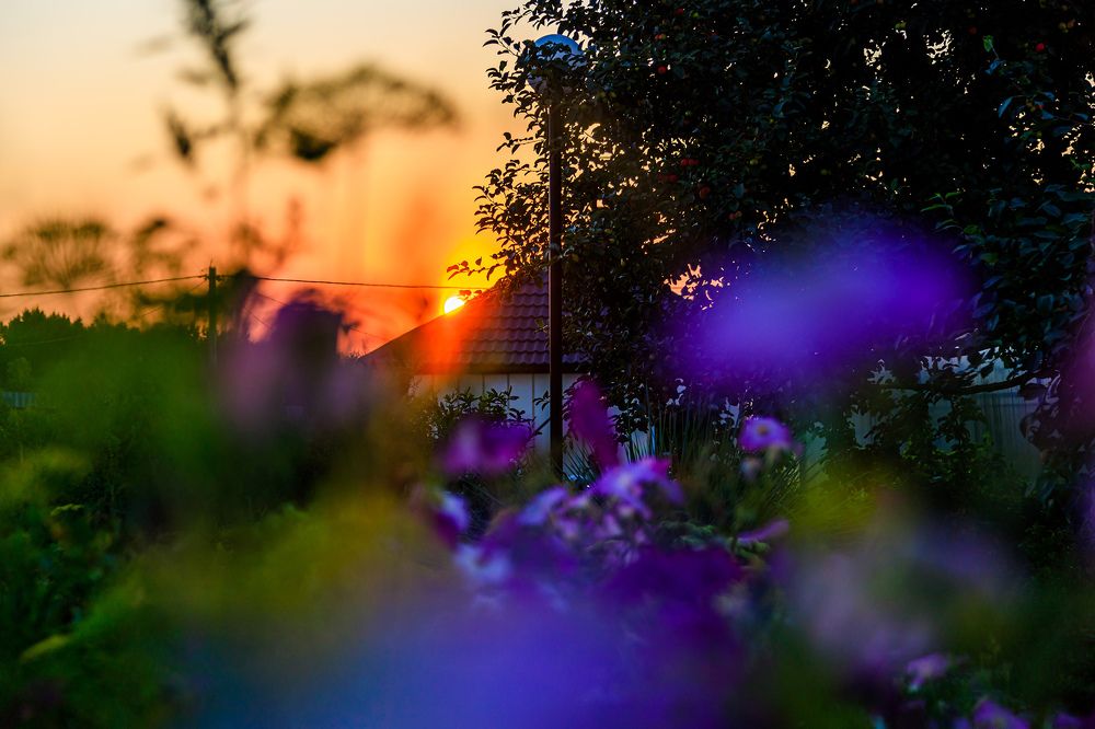 Photograph by Мария