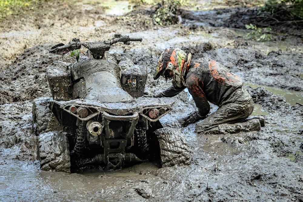 Photograph by Александр Щербаков