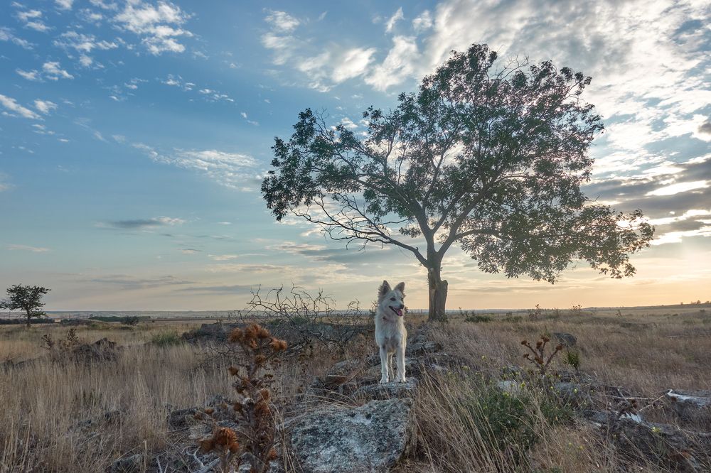 Photograph by Михаил Нестеренко