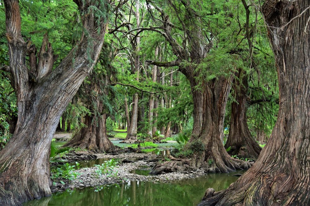 Photograph by Mosqueda Ruben