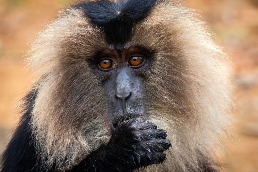 Photograph by DHANASEKAR R