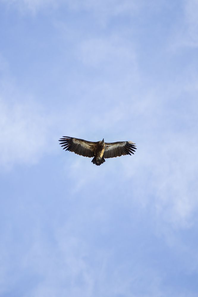 Photograph by Vladimir Soroka