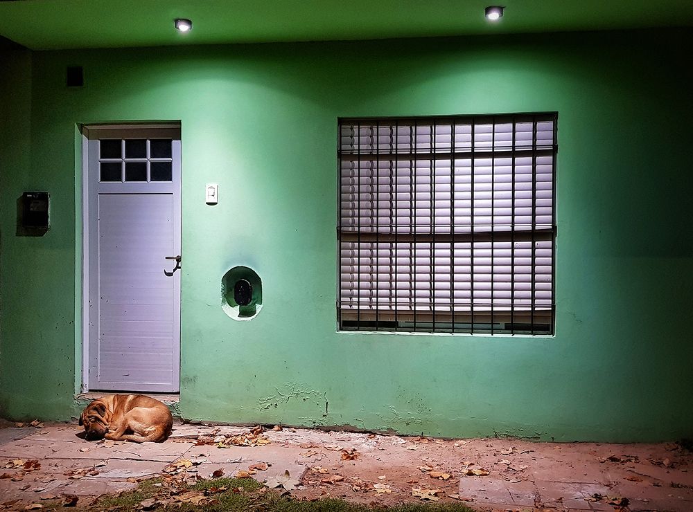 Photograph by Fernando Valdez
