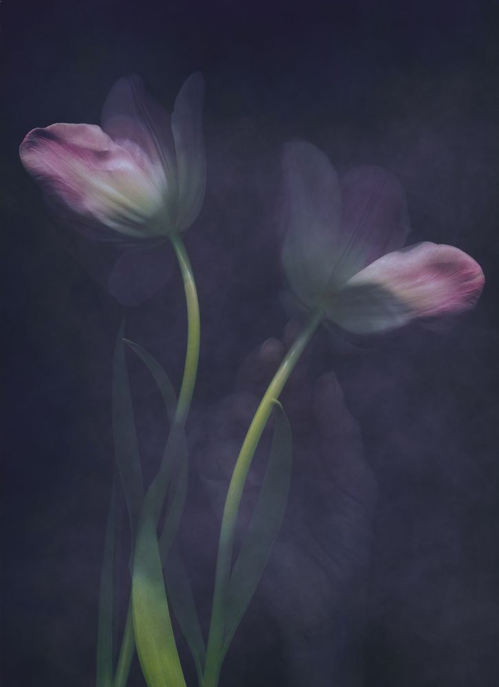 Photograph by Ирина Туяхова