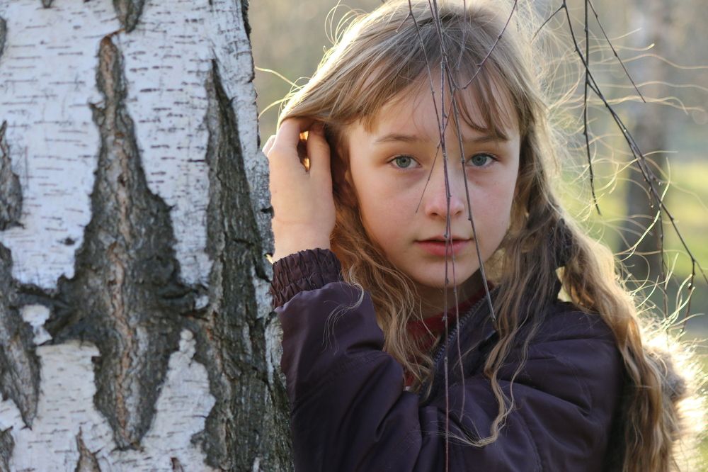 юная березка