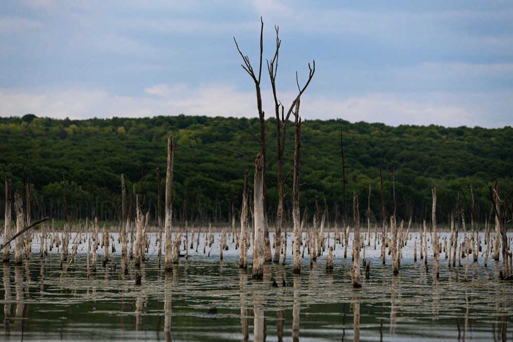 Photograph by Альбина Рычкова