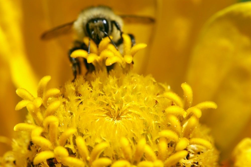 Photograph by Борис Баринов