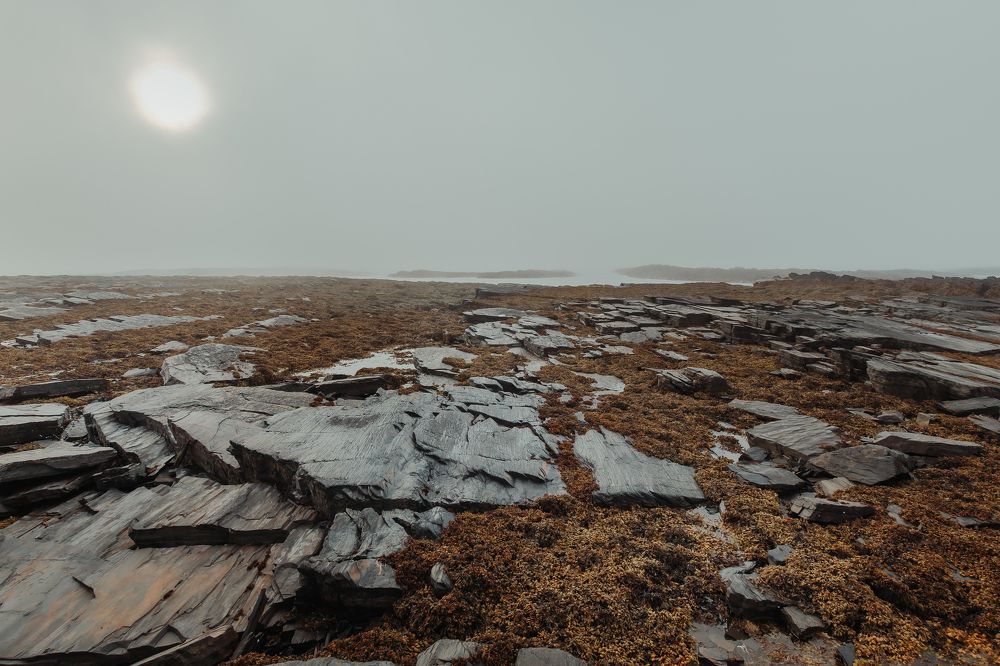 Photograph by Александра Алексеенко