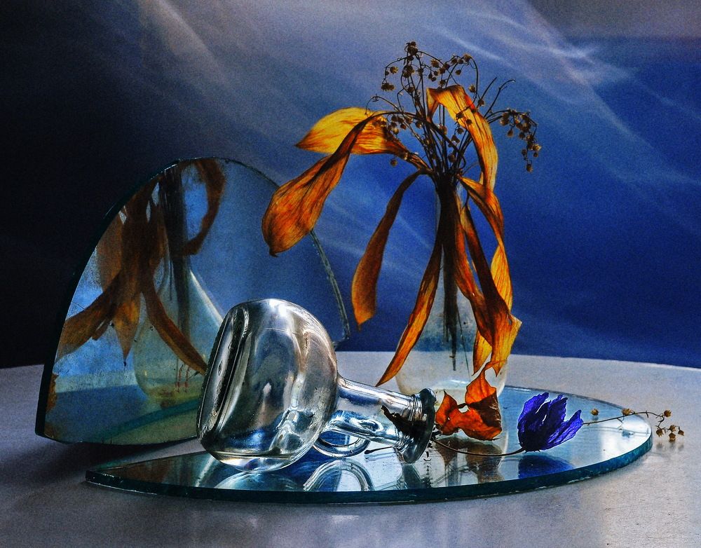 Фотография автора Харитонова Елена