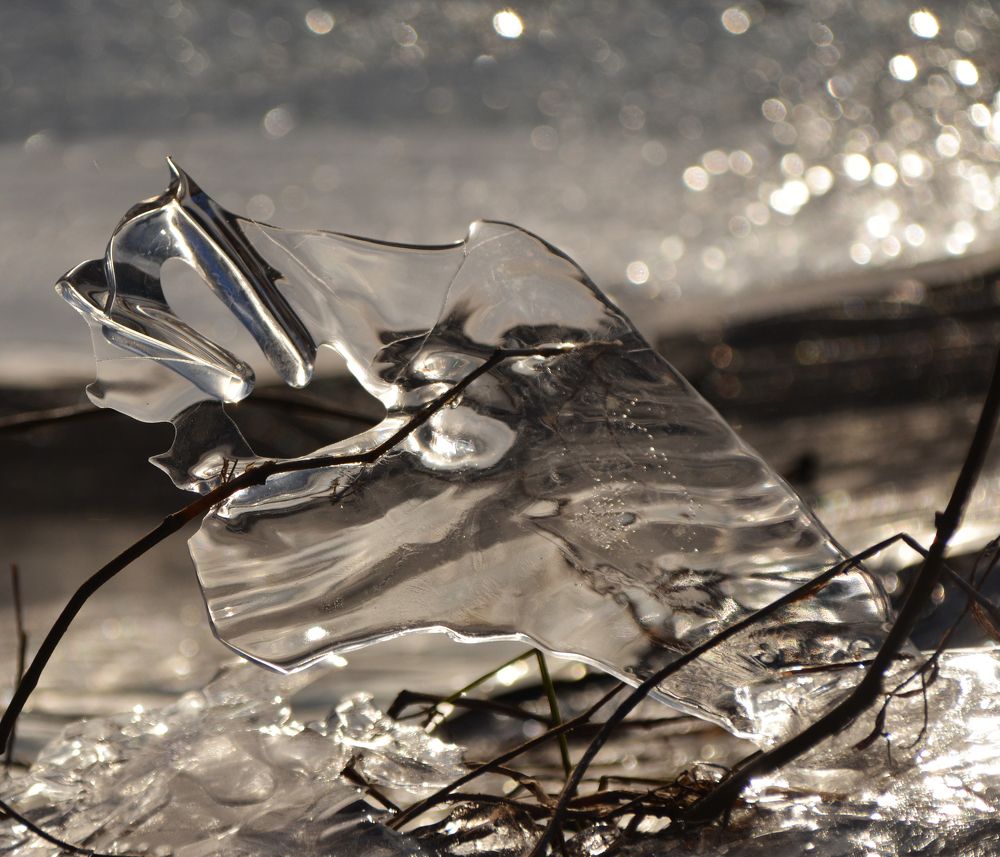 Photograph by Зоя Елизарьева