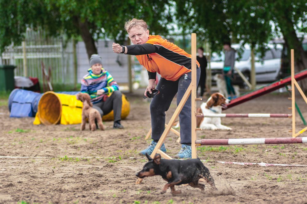 Вперед, к победе!!
