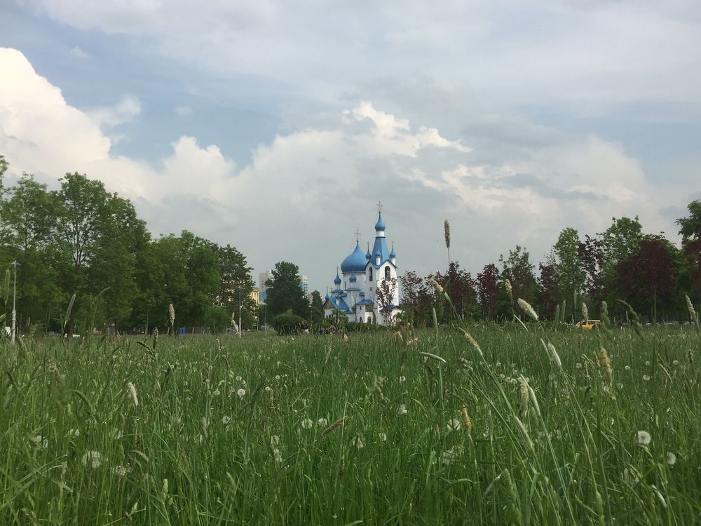 Пулковский парк жарким летним днём