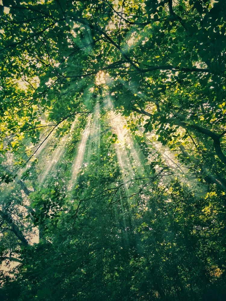 Photograph by Татьяна