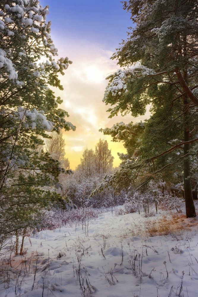 Photograph by Viktor Sheibak