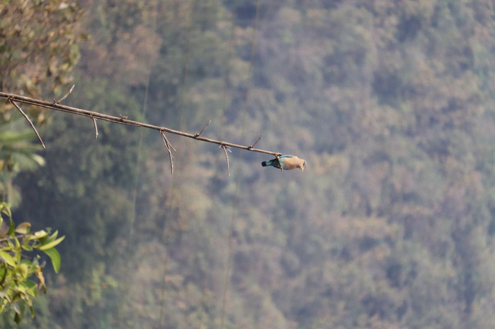 Photograph by amol Lad