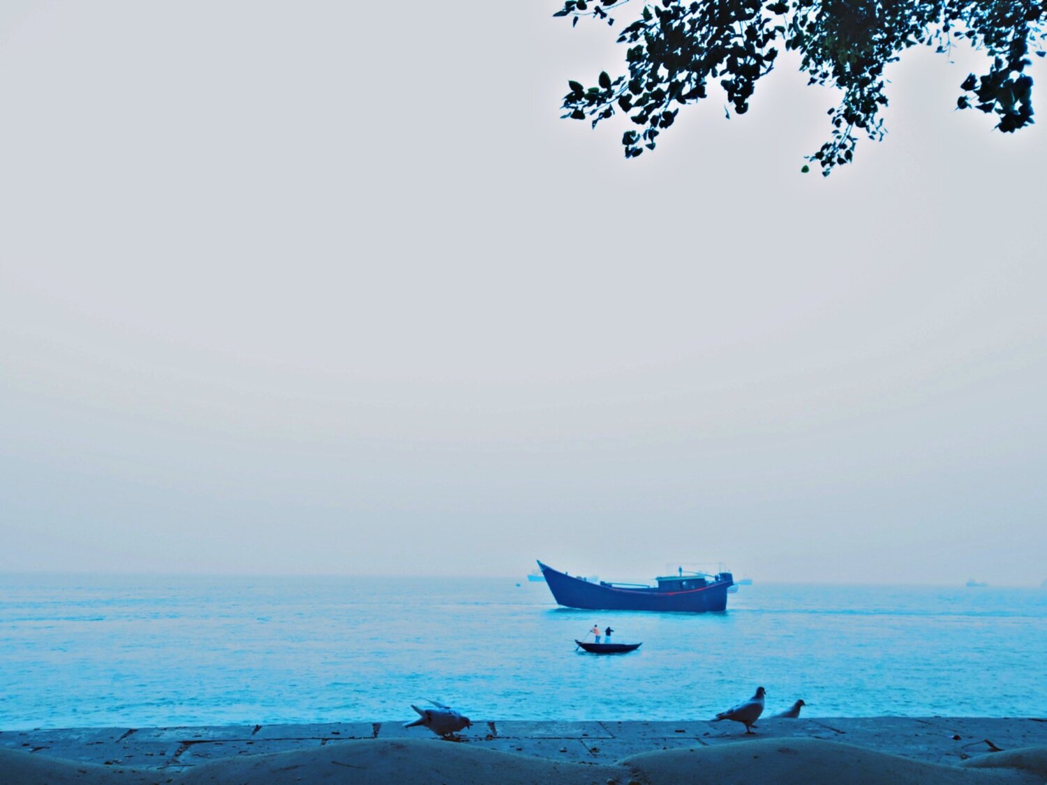 Photo #5873397
