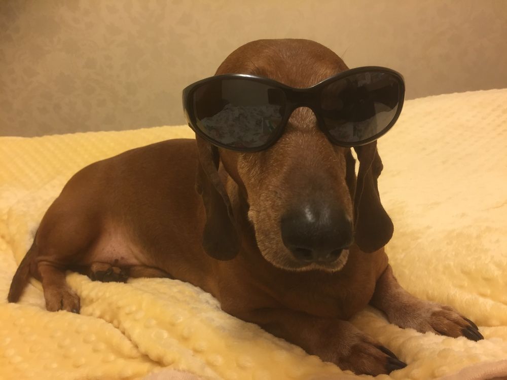 Photograph by Анатолий Чекалкин