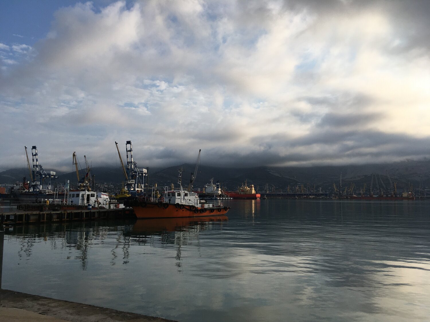 Photo #5873424