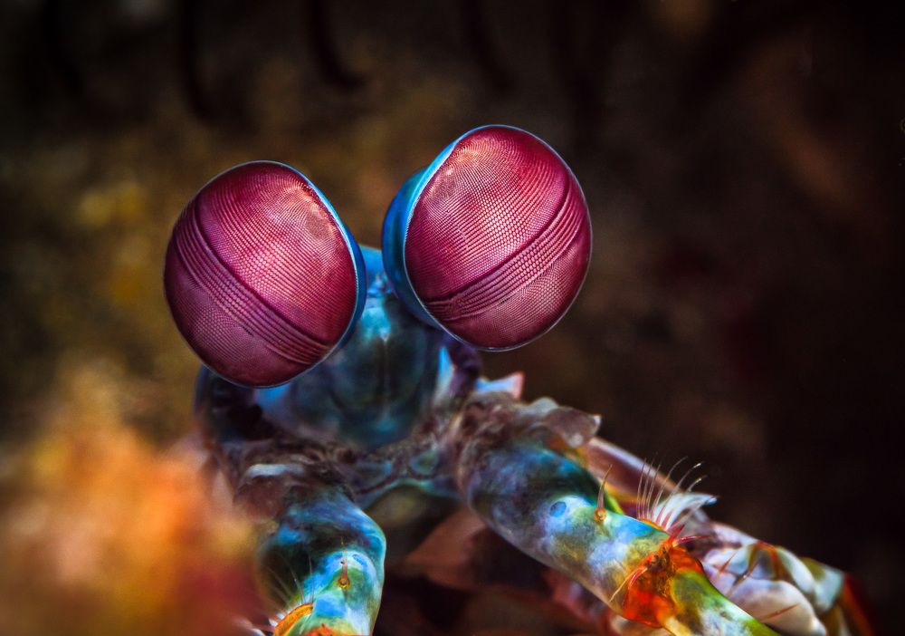 Photograph by Андрей Савин