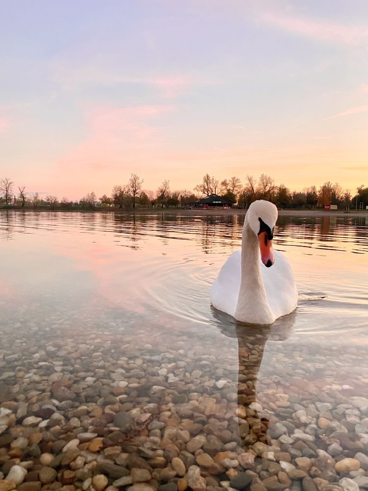 Photograph by Jasminka Đaković