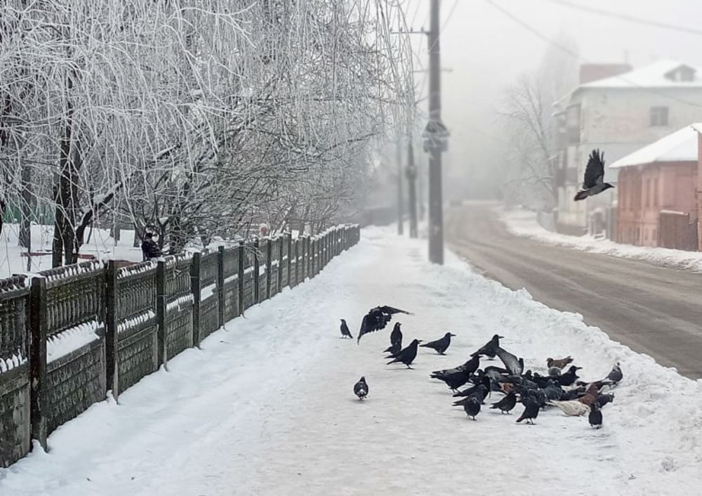 Photograph by Елена Куннова